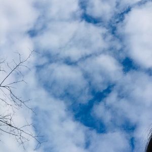 Meet your Posher, Leila